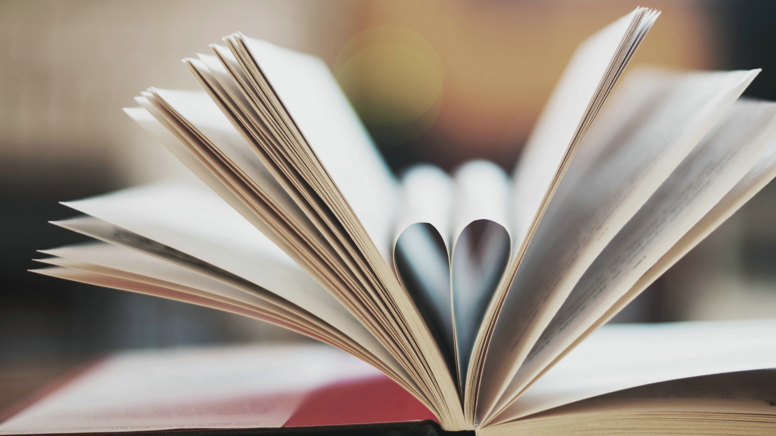 1514430684300533.jpg 31.jpg