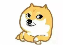  30 亿条公民信息泄露背后，谁该为此背锅